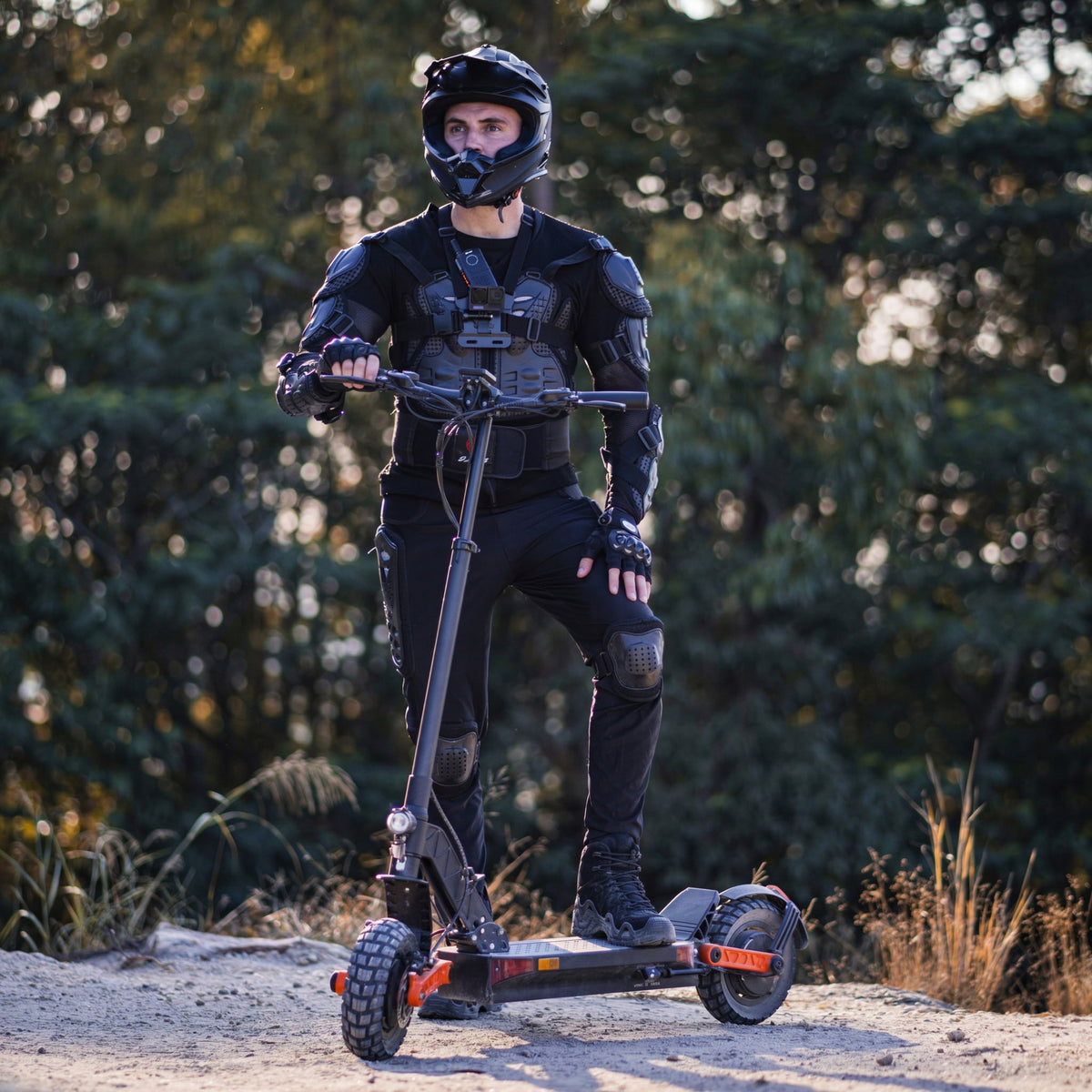 Dual 1000W Motors