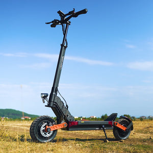 S10-S-Z 2000W Dual Motor