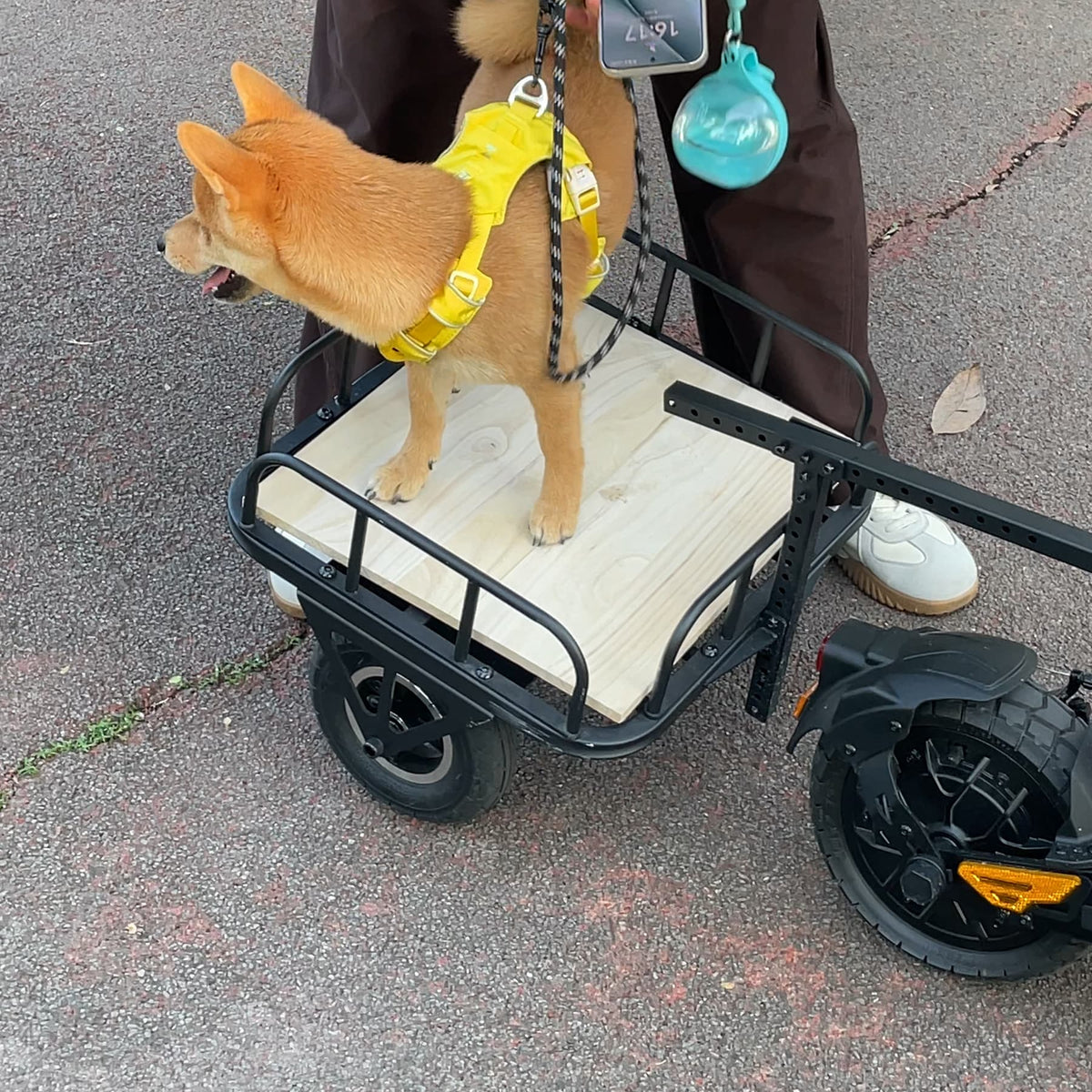 Bring Your Best Friend