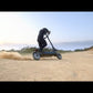 E6-S 1600W*2 Doppio motore
